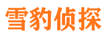 祥云市侦探公司